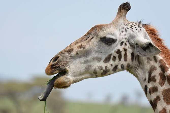 Tanzania Experience Safari and Tours - Included Amenities
