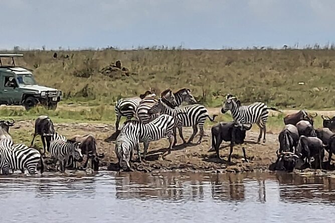Tanzania Wildlife Safari Budget Camping - Accommodation Details
