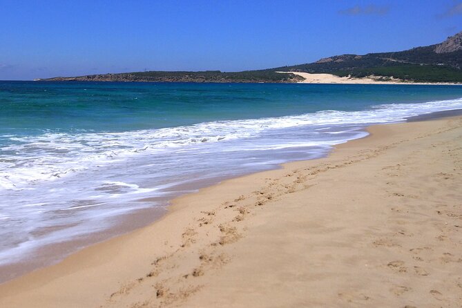 Tarifa and Bolonia , Full-Day Food and History Tour From Marbella - Tour Details