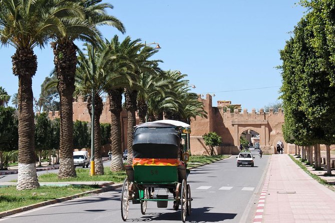 Taroudant and Tiout Day Trip From Agadir With Lunch - Itinerary Highlights