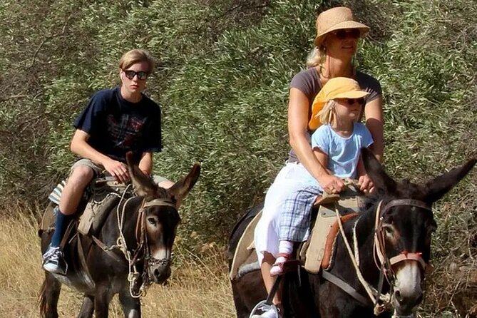 Taroudant and Tiout Oasis With Lunch - Itinerary Highlights