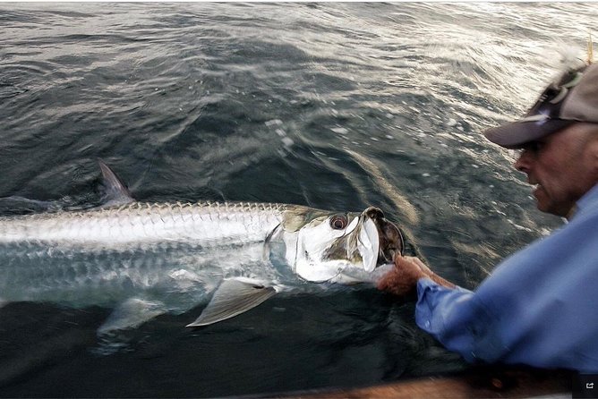 Tarpon Fishing Tour (Light Refreshments Offered on Board)) - Meeting and Pickup