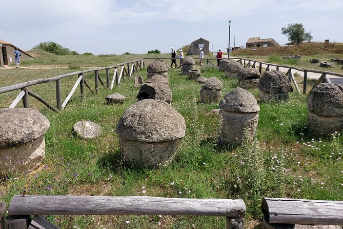 Tarquinia: Private Tour of the Etruscan Necropolis - Highlights of the Private Tour