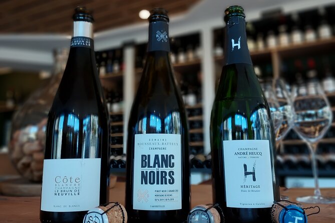 Tasting and Discovery of the 3 Champagne Grape Varieties - Discovering the Pinot Noir Grape