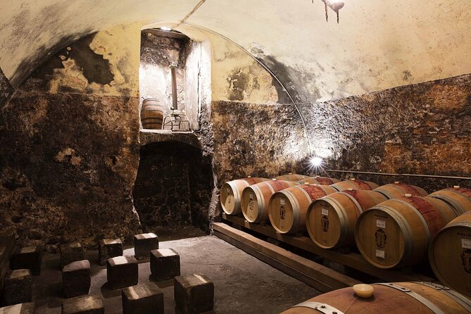 Tasting of Valpolicella Wines Tradition and Modernity - Cellar Visit Highlights