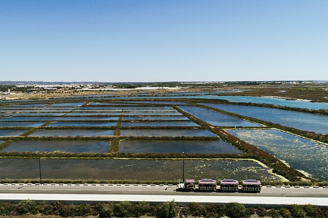 Tavira Hop On Hop Off City Tour by Tourist Train - Customer Reviews and Experiences