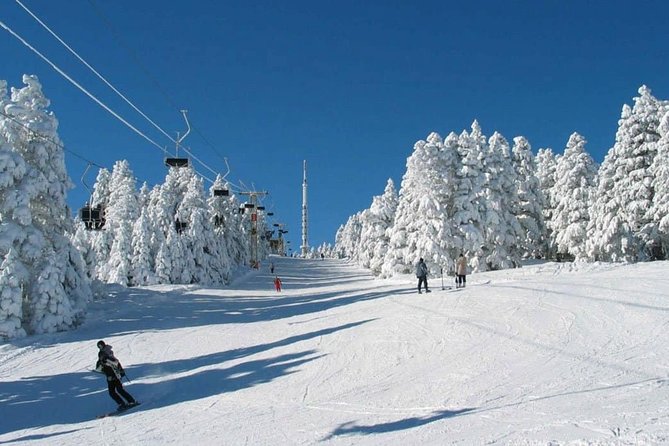 Tbilisi - Bakuriani - Borjomi Private Transfer - Luggage Allowance and Policies