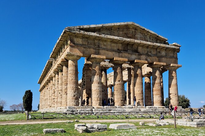 Temples of Paestum and Pompeii Tour Review - Inclusions and Customization