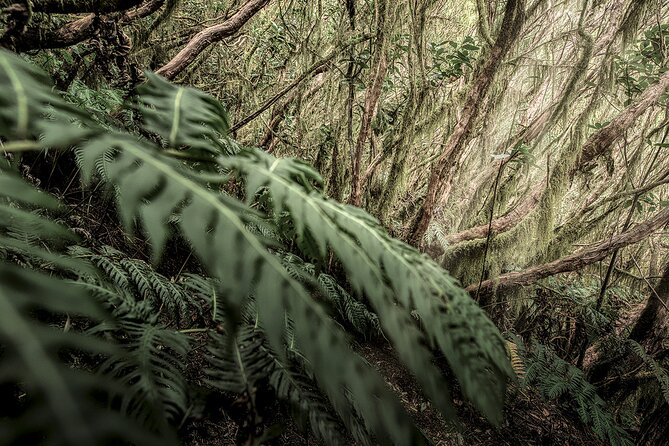 Tenerife: Landscape Photography Workshops, 10 Hours - Meeting and Pickup Information