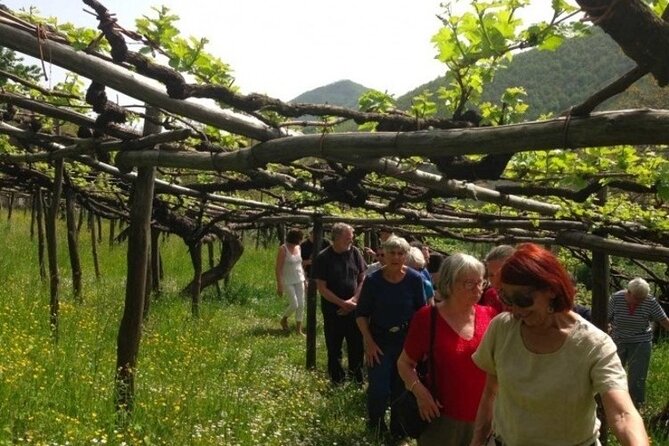 Tenuta San Francesco Wine Tasting - Location and Meeting Point