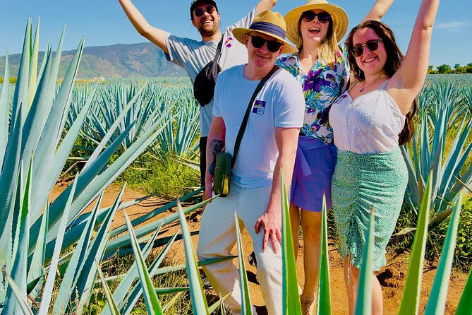 Tequila/Guachimontones Tour-Cultural Heritage Route - Inclusions and Amenities