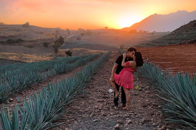 Tequila Tour With Tasting. - Inclusions and Activities