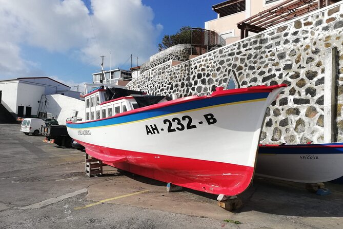 Terceira Island Full Day Tour - Reading Verified Reviews