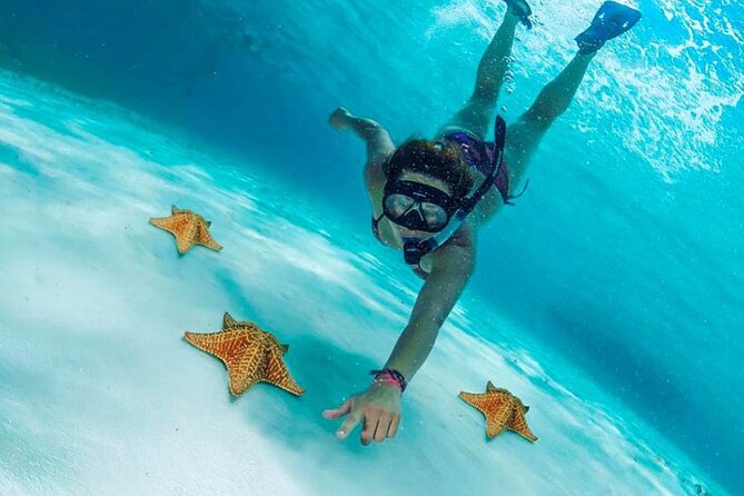 The Best Cozumel Snorkeling Tour Palancar, Colombia and El Cielo Reefs - Accessibility and Health Considerations