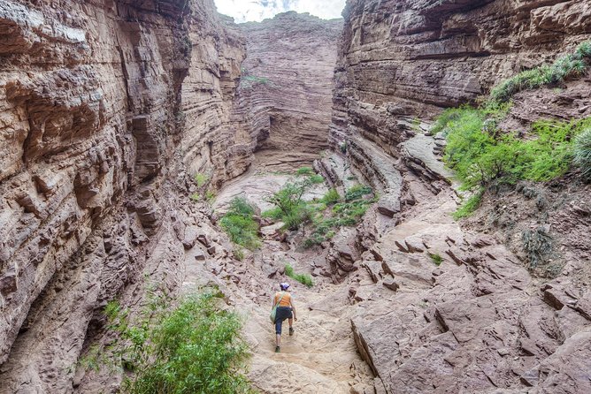 The Calchaqui Valley Winery and Scenery Tour in Cafayate - Itinerary and Schedule