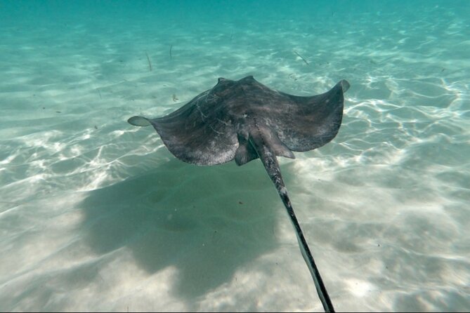 The Cielo Palancar and Columbia Snorkeling Tour - Included Experiences