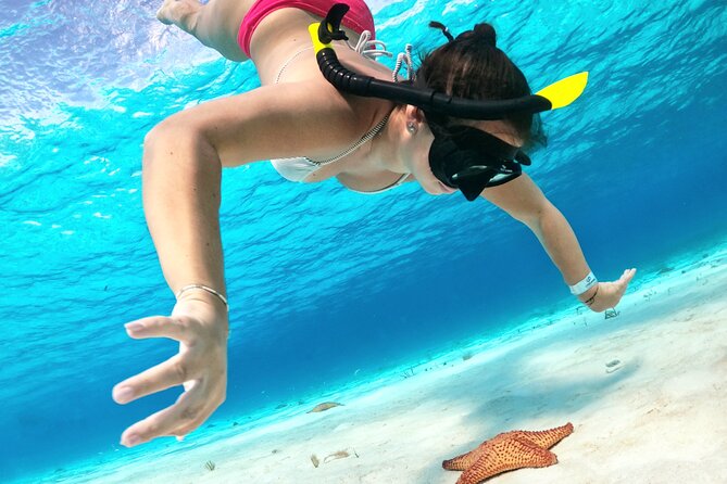 The Cozumel Turtle Sanctuary Snorkel Tour - Inclusions and Amenities