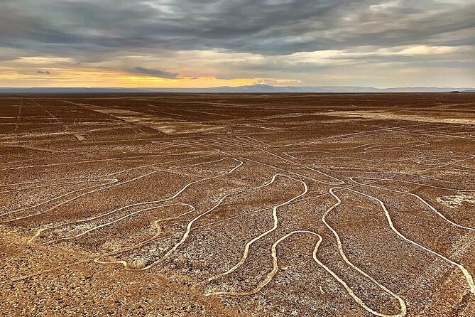 The Enigmatic Nazca Lines & Huacachina Oasis - Private Trip - Soaring Above the Enigma