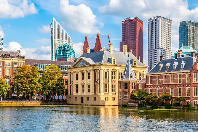 The Hague and Rotterdam Shore Excursion, Private Tour - Inclusions and Exclusions