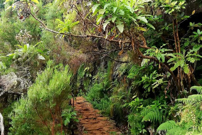 The Lakes Walk - Scenic Highlights Along the Way
