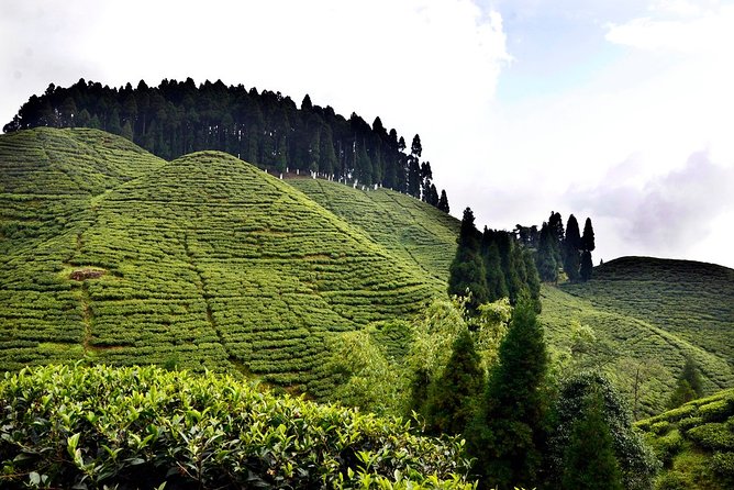 The Land Mark Tour (Nautical Day Darjeeling to Mirik Crusade) - Highlights of the Journey