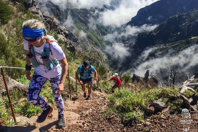 The Peaks Quest Running Tour (Moderate-Hard) - Activity Highlights