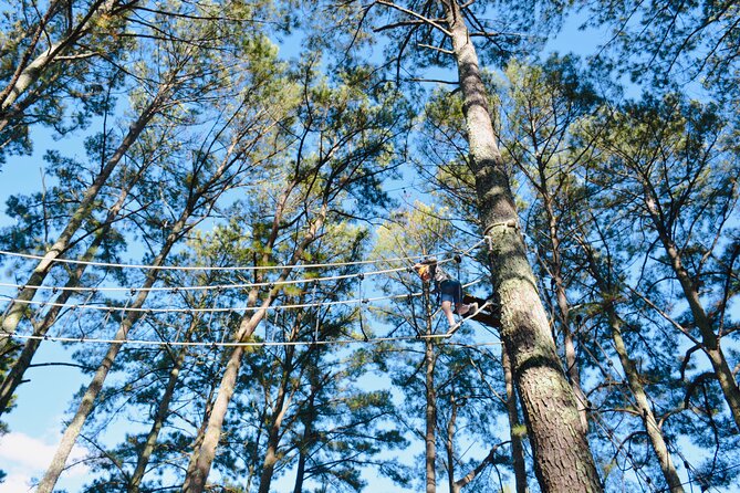The Raptor, High Rope Course and Zipline Tickets, Wheeler Lake KOA - Rope Course and Zipline Highlights