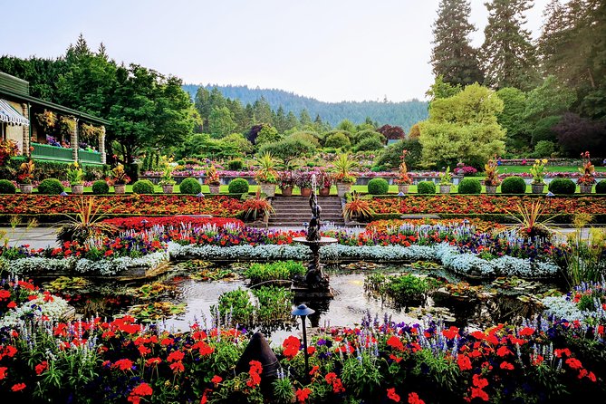 The Ultimate Group Package Tour of Victoria - Tour Experience and Personalization