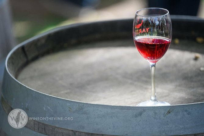 The Ultimate Wine Experience - Israels Wine Culture Insights