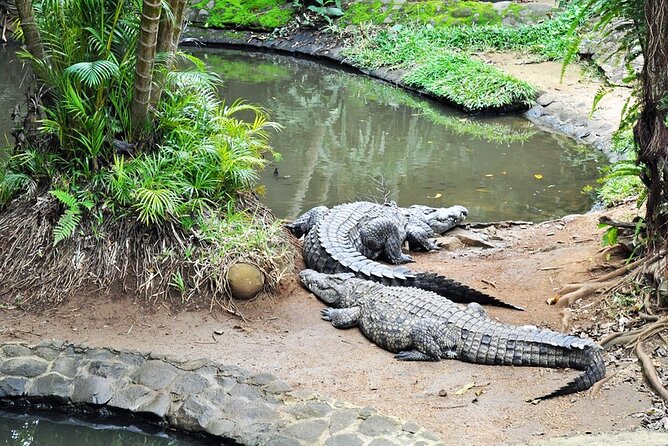 The Vanilla Nature Park - Tour Experience Highlights
