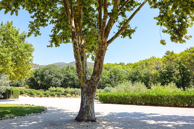 The Wines of the Luberon, the Château De Lourmarin & Bastide Du Laval Olive Oil - Pickup and Transportation Details