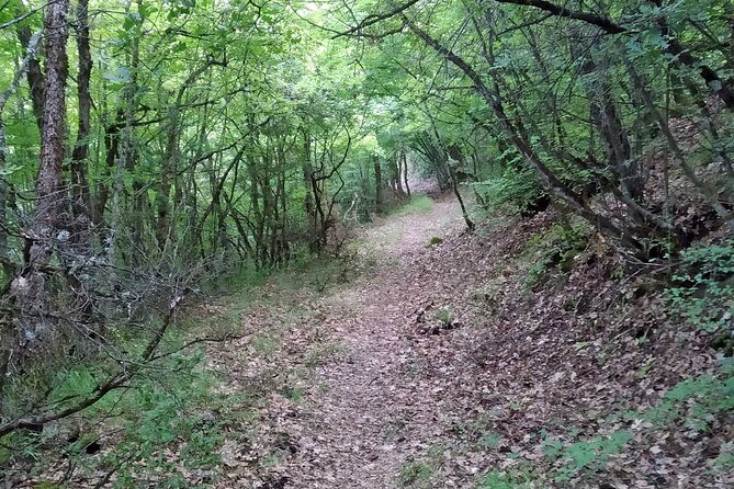 Thessaloniki to Naoussa, Wine Tasting Tour – Private Day Trip - Relaxing Lunch at a Local Villa