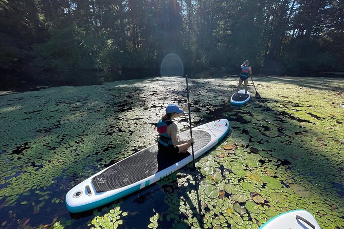 Thetis Lake Stand Up Paddle Boarding - Rental and Equipment