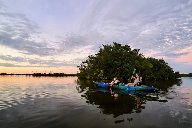 Thousand Islands Mangrove Tunnel Sunset Kayak Tour With Cocoa Kayaking! - Meeting and Pickup