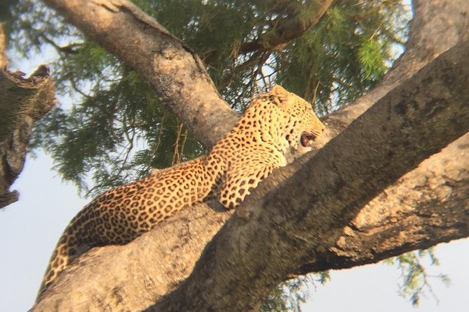 Three Days Escape to Queen Elizabeth National Park - Itinerary Highlights