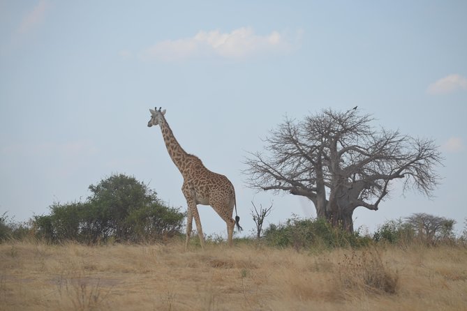 Three Days Ngorongoro Crater, Lake Manyara and Taragire National Park (Joining) - Inclusions and Exclusions