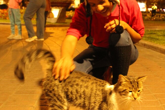 Three Districts of Lima by Night - Discovering San Isidros Charm