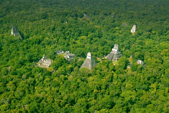 Tikal Private Tour All Inclusive From Flores - Pickup and Meeting