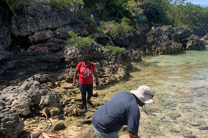 Tom Moores Jungle and Eco Tour - Booking Information