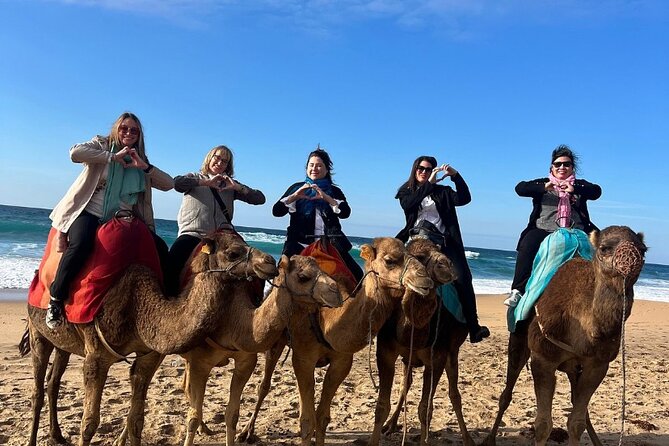 Top VIP Private Tour of Tangier From Estepona All Inclusive - Accessibility and Accommodations