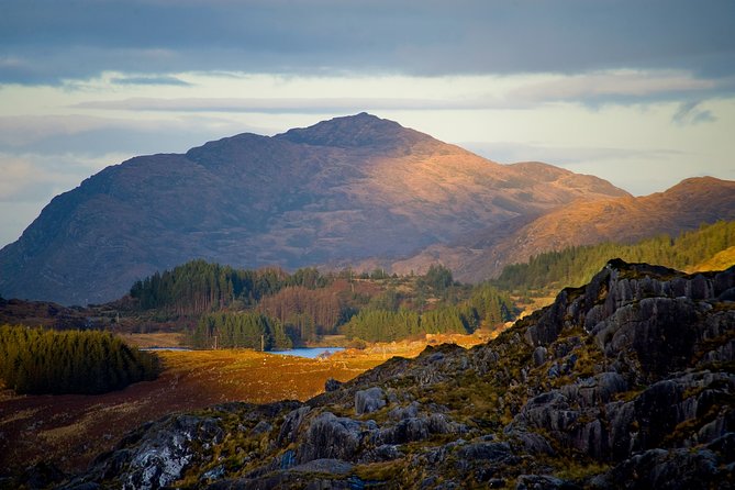 Torc Mountain & Waterfall Hike. Killarney. Private Guided Group. 3½ Hours. - Whats Included in the Tour