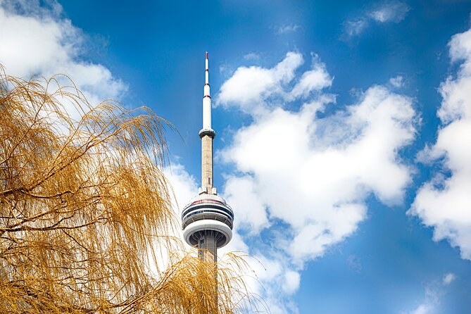 Toronto Downtown and Highlights Walking Tours - Customer Experiences and Reviews