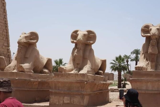 Tour In Luxor From Hurgharda By Bus - Pickup and Drop-off