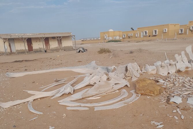 Tour in Mauritania - Included in the Tour