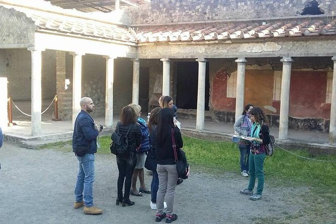 Tour in the Villa of Poppea With an Archaeologist - Meeting and Pickup Logistics