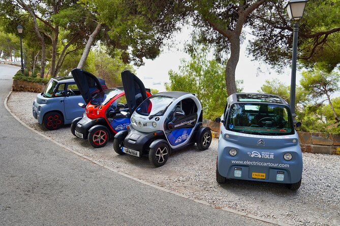 Tour Malaga Premium by Electric Car - Savoring Local Gastronomy and Cuisine