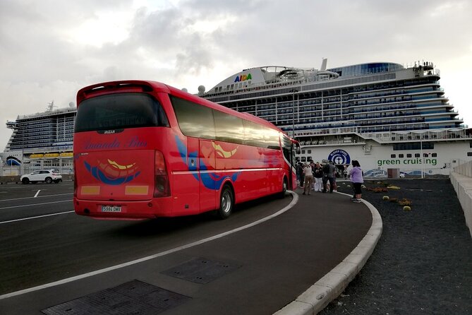 Tour of Jameos Del Agua Viewpoint and Valley of 1000 Palm Trees for Cruise Passengers - Additional Information