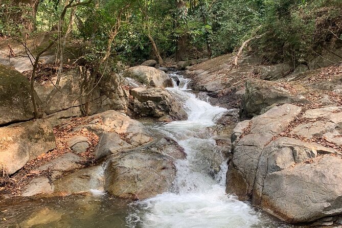 Tour Paso Del Mango Chocolate & Waterfalls - Chocolate and Cocoa Cultivation