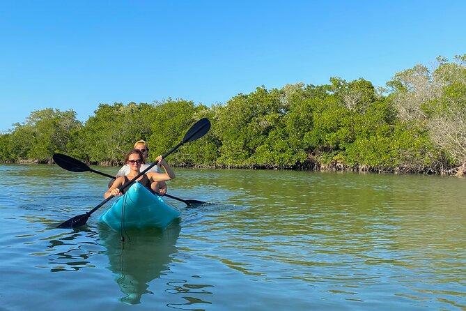 Tour the Mangroves in Kayak by Isla Holbox - Included in the Tour