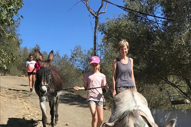 Tour the Sanctuary and Walk With the Donkeys and Share Their Love - Exploring the Sanctuary Grounds